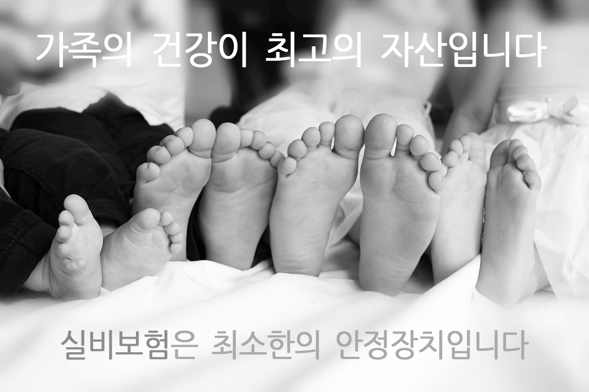 최소한의 안전장치